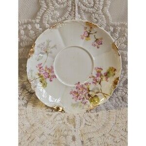 1900s Antique Theodore Haviland Limoges France Apple Blossom Saucer